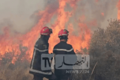 اشتعال عدة حرائق في الغابات عبر مختلف الولايات !