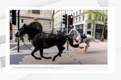 بالفيديو.. خيول تعيث فساداً وسط مدينة لندن
