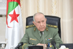 الفريق أول شنقريحة يدشن نادي الموقع في بوسعادة
