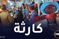 صور صادمة.. حجز 9 قناطير لحوم حمراء وبيضاء وأحشاء متعفنة في سوق قصاب بالبليدة