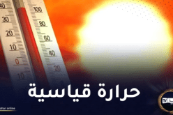 7 مناطق جزائرية الأكثر حرا في العالم