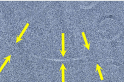 بالصورة.. ظهور هلال شهر شوال