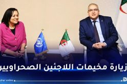 الأمين العام لوزارة الخارجية يستقبل المديرة التنفيذية المساعدة لبرنامج الأغذية العالمي