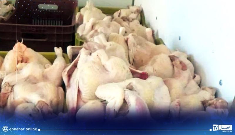 تيارت.. حجز أزيد من قنطارين من اللحوم البيضاء الفاسدة بمطاعم المدارس الإبتدائية