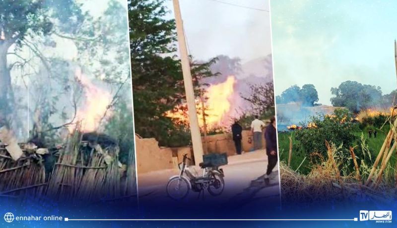 إصابة شخصين بعد حريق شبّ في 6 بساتين بالعين الصفراء في النعامة
