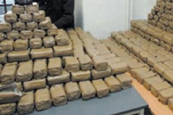 البليدة..الإطاحة بشبكة إجرامية دولية تضم 11 شخصا وحجز 17 قنطار “زطلة”