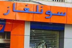 تبسة.. سونلغاز تربط 604 مستثمرة فلاحية بالكهرباء 