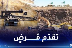 الرئيس تبون يثمن المجهودات المبذولة في الميدان لتجسيد مشروع منجم “غارا–جبيلات”