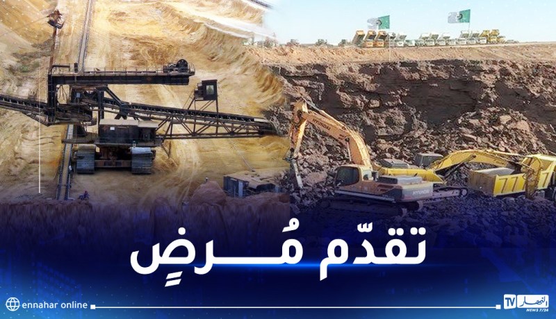 الرئيس تبون يثمن المجهودات المبذولة في الميدان لتجسيد مشروع منجم “غارا–جبيلات”