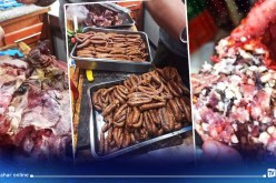 عين الدفلى: حجز 249 كغ من “المرڨاز” و اللحوم الفاسدة بخميس مليانة