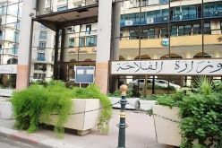 أوامر للولاة بضبط وتحديد مواقع بيع أضاحي العيد.. وهكذا تم تجنيد البياطرة