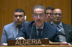 الوضع في غزة تعدّى الكارثي.. و1.5 مليون فلسطيني في رفح يُواجهون الموت