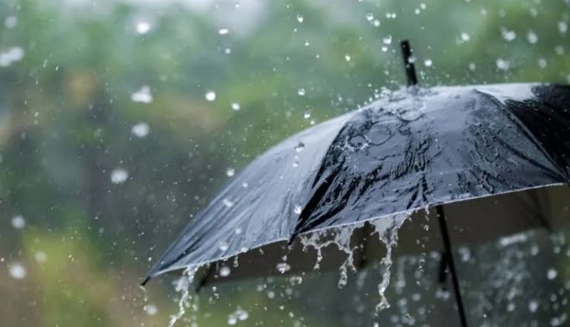 أمطار ورعود اليوم وغدا بهذه الولايات