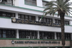 قريبا.. إطلاق منتوج يغطي المخاطر المتعلقة بالكوارث الفلاحية