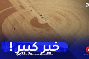 خنشلة : 100 شاحنة لنقل الحبوب بصحراء النمامشة