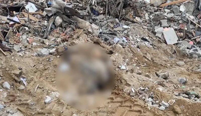 مبادرة الجزائر: مجلس الأمن يدعو لتحقيق مستقل في المقابر الجماعية بغزة