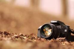 صورتان جزائريتان ضمن الـ 10  TOP عالميا