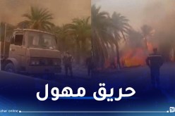 إندلاع حريق مهول بغابة عين البيضاء في ورقلة
