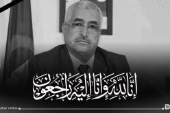 الوزير الأسبق للسياحة محمد حميدو في ذمة الله