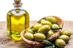 ميداليتان ذهبيتان لزيت الزيتون الجزائرية بسويسرا والدنمارك