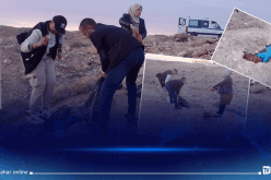 باتنة: توقيف شخص بحوزته قرابة 40 كغ” من مادة  ” المرقاز ” فاسد
