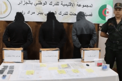 يوهمون ضحاياهم ببيعهم سيارات جديدة وتسليمها في وقت وجيز.. الإطاحة بعصابة خطيرة