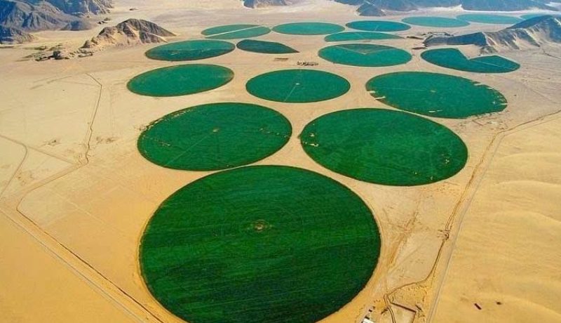 اجتماع هام حول الإستثمار الفلاحي في الجنوب