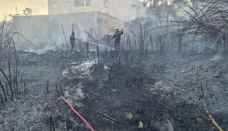 اخماد حريق مهول على ضفاف وادي مكرة بسيدي بلعباس