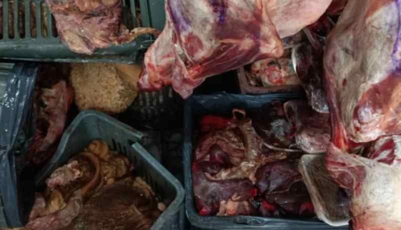 عنابة: حجز وإتلاف 2.2 طن من لحوم وأحشاء الأغنام فاسدة كانت مخزنة بأحد غرف التبريد