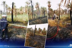المغير: حريق يأتي على 52 نخلة بغابات النخيل