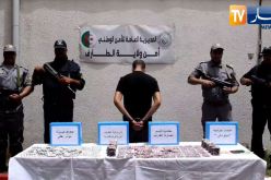 شرطة الحدود البرية بأم الطبول توقف أجنبي بحوزته 4150 كبسولة بريغابالين