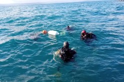 البحث عن غريق بتيبازة