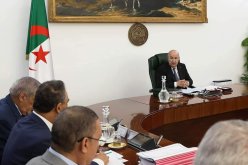 أوامر رئاسية صارمة بتقليص مدة انتظار البواخر قبالة الموانئ إلى اقل من 24 ساعة
