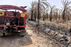 حريق مهول يجتاح غابات النخيل في ورقلة