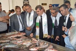 بداني: إنتاج 12 ألف طن من أسماك المياه العذبة نهاية سنة 2024