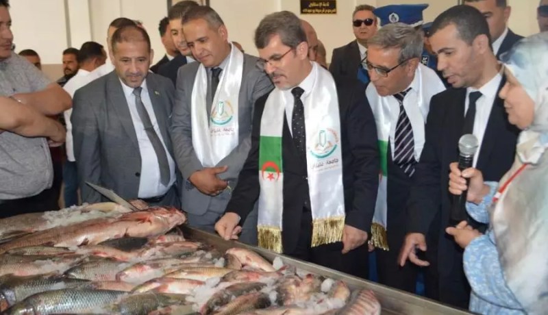 بداني: إنتاج 12 ألف طن من أسماك المياه العذبة نهاية سنة 2024