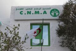 صندوق التعاضد الفلاحي: 50بالمئة تخفيض على تأمين المركبات الجديدة و65 بالمئة على السكنات