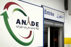 تسجيل 414 ألف مشروع مؤسسة مصغرة