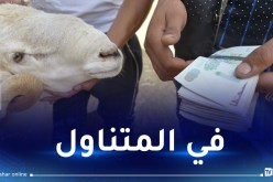 أسعار أضاحي العيد بداية من 59 ألف دينار ولن تتجاوز 90 ألفاً