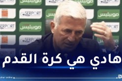 بيتكوفيتش: “تلقينا هدفين بسبب أخطاء فردية”