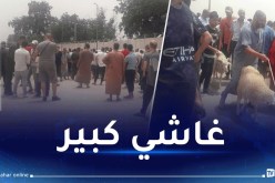 إنطلاق عملية البيع لاقتناء كبش العيد