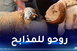 تجنيد 2500 بيطري لمراقبة عملية بيع وذبح الأضاحي