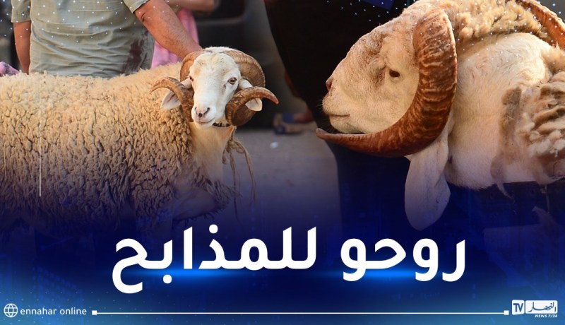تجنيد 2500 بيطري لمراقبة عملية بيع وذبح الأضاحي