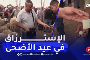 سطيف / بيع مستلزمات عيد الأَضحى فرصة الشباب للإسترزاق
