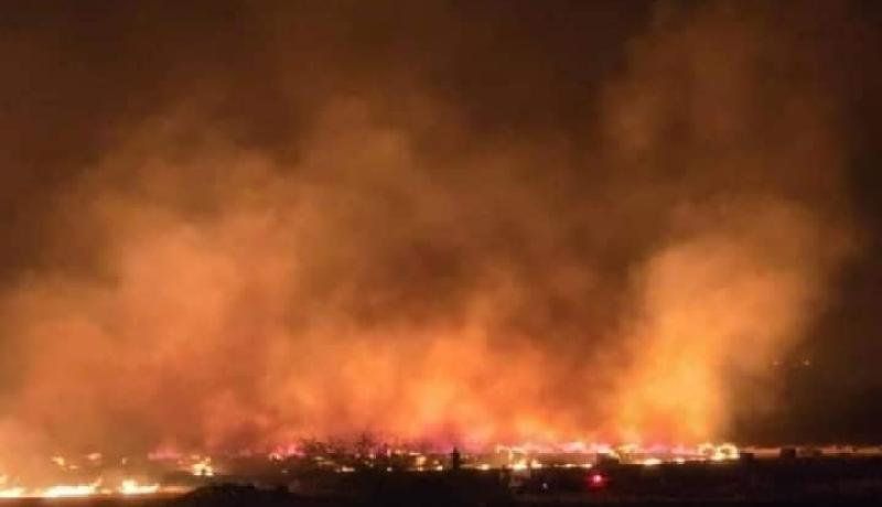الأغواط: نشوب حريق في إحدى البساتين بمنطقة الضاية