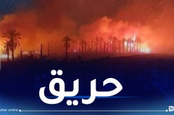 إخماد حريق أشجار النخيل بتقرت كُليا