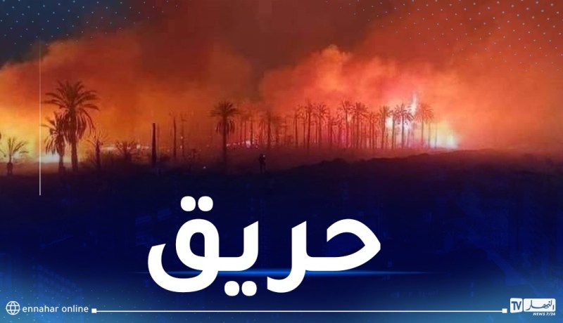 إخماد حريق أشجار النخيل بتقرت كُليا