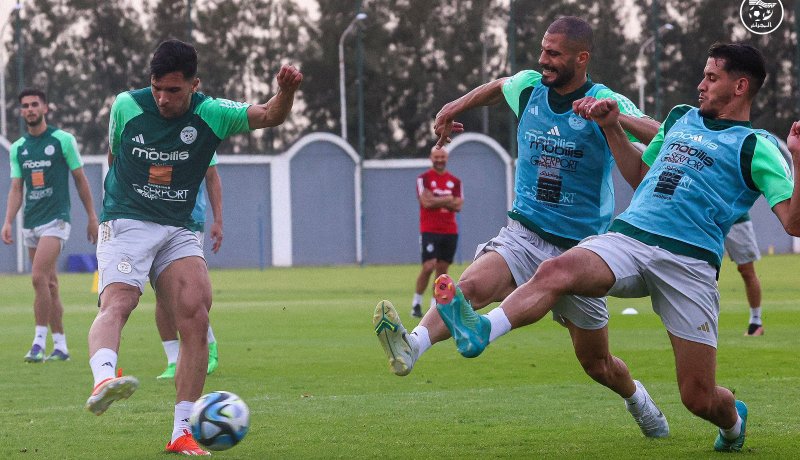 بالصور.. المنتخب الوطني يستأنف تدريباته تحسبا لمواجهة أوغندا