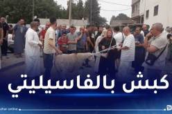 مدير ألفيار:سنوفر أكبر عدد ممكن من أضاحي العيد والبيع بالتقسيط متوفر بشروط”