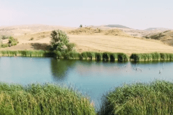 سطيف.. البحث عن غريق في سد بوعمران